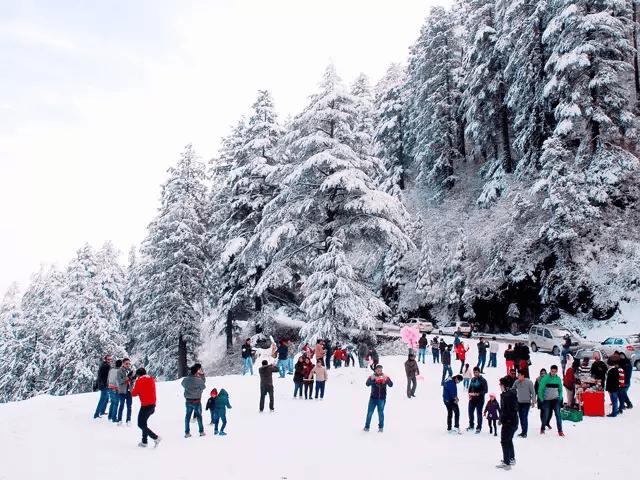 Chandigarh to Shimla 2 Days Tour Package